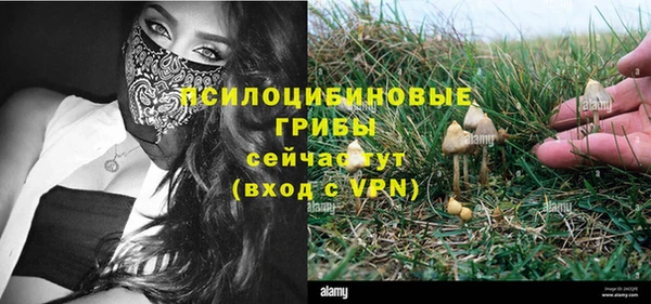 экстази Белокуриха